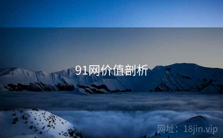 91网价值剖析