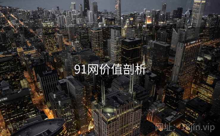91网价值剖析