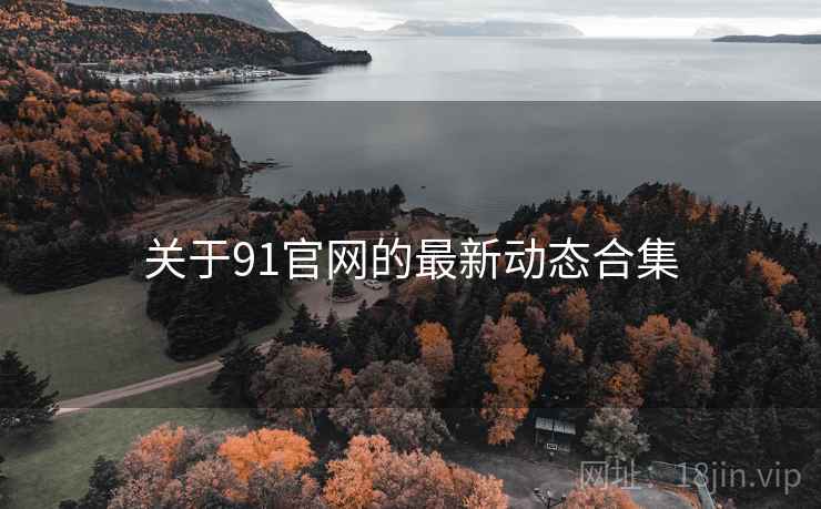 关于91官网的最新动态合集