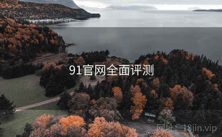 91官网全面评测