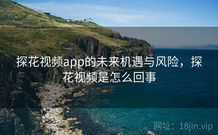 探花视频app的未来机遇与风险，探花视频是怎么回事