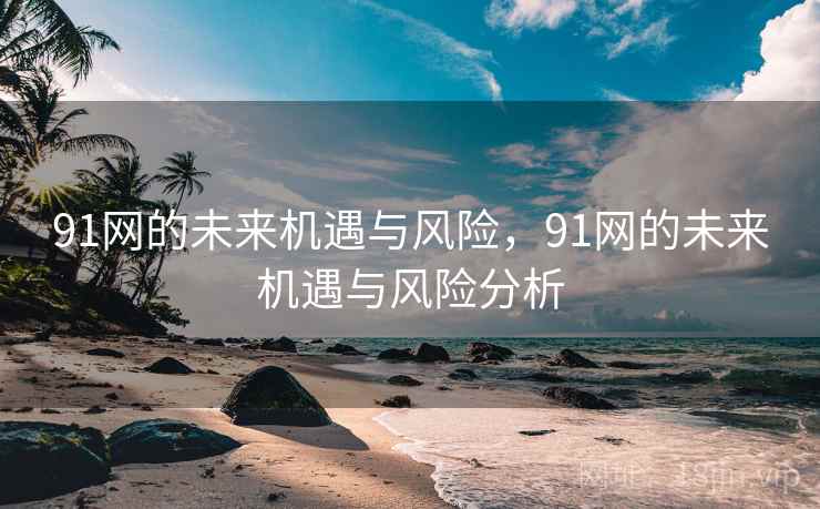91网的未来机遇与风险,91网的未来机遇与风险分析 91网的未来机遇与风险,91网的未来机遇与风险分析