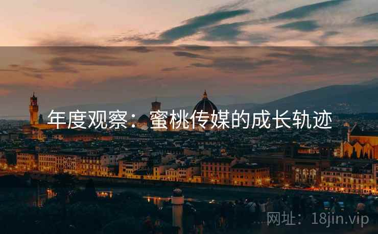 年度观察：蜜桃传媒的成长轨迹