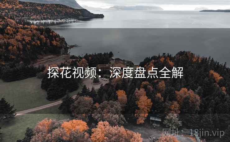 探花视频：深度盘点全解