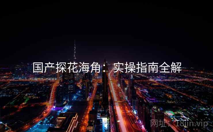 国产探花海角：实操指南全解