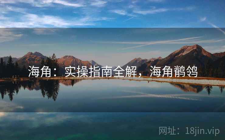 海角：实操指南全解，海角鹡鸰