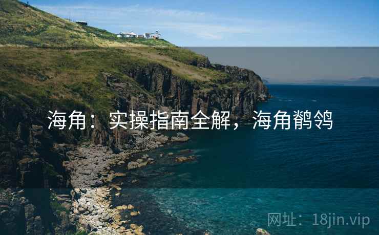 海角:实操指南全解,海角鹡鸰