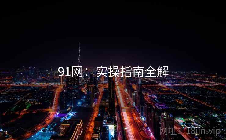 91网:实操指南全解