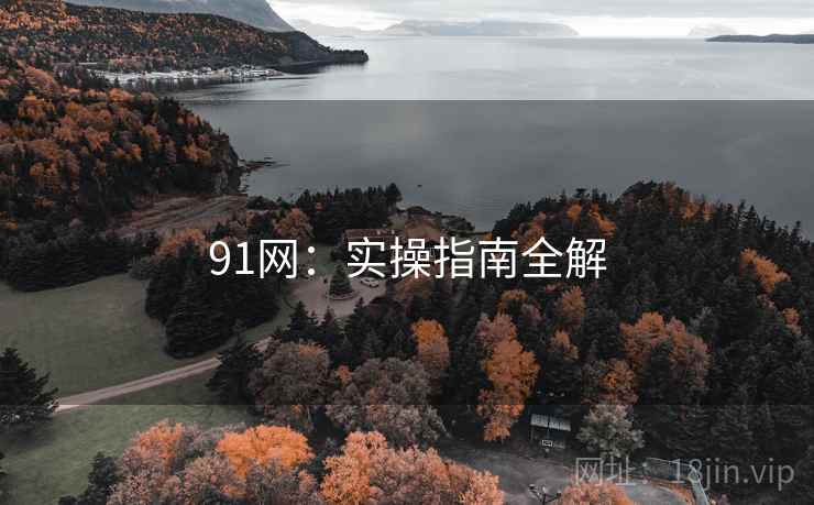 91网:实操指南全解 91网:实操指南全解