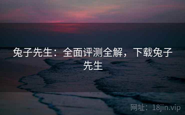 兔子先生：全面评测全解，下载兔子先生